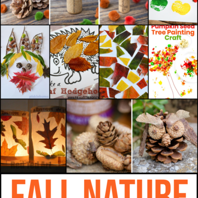 Fall Nature Crafts for Kids