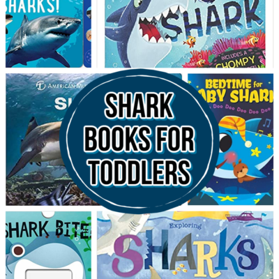 Shark Books for Toddlers