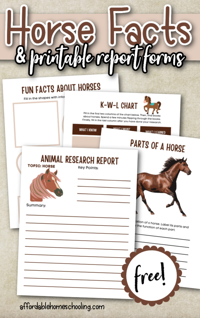Horse Facts for Kids