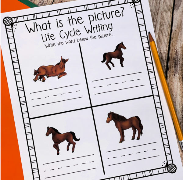 Free Printable Horse Life Cycle for Kids