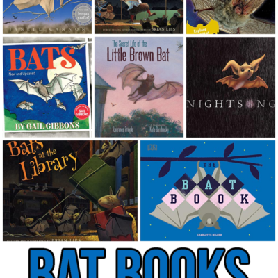 Books About Bats for Kindergarten