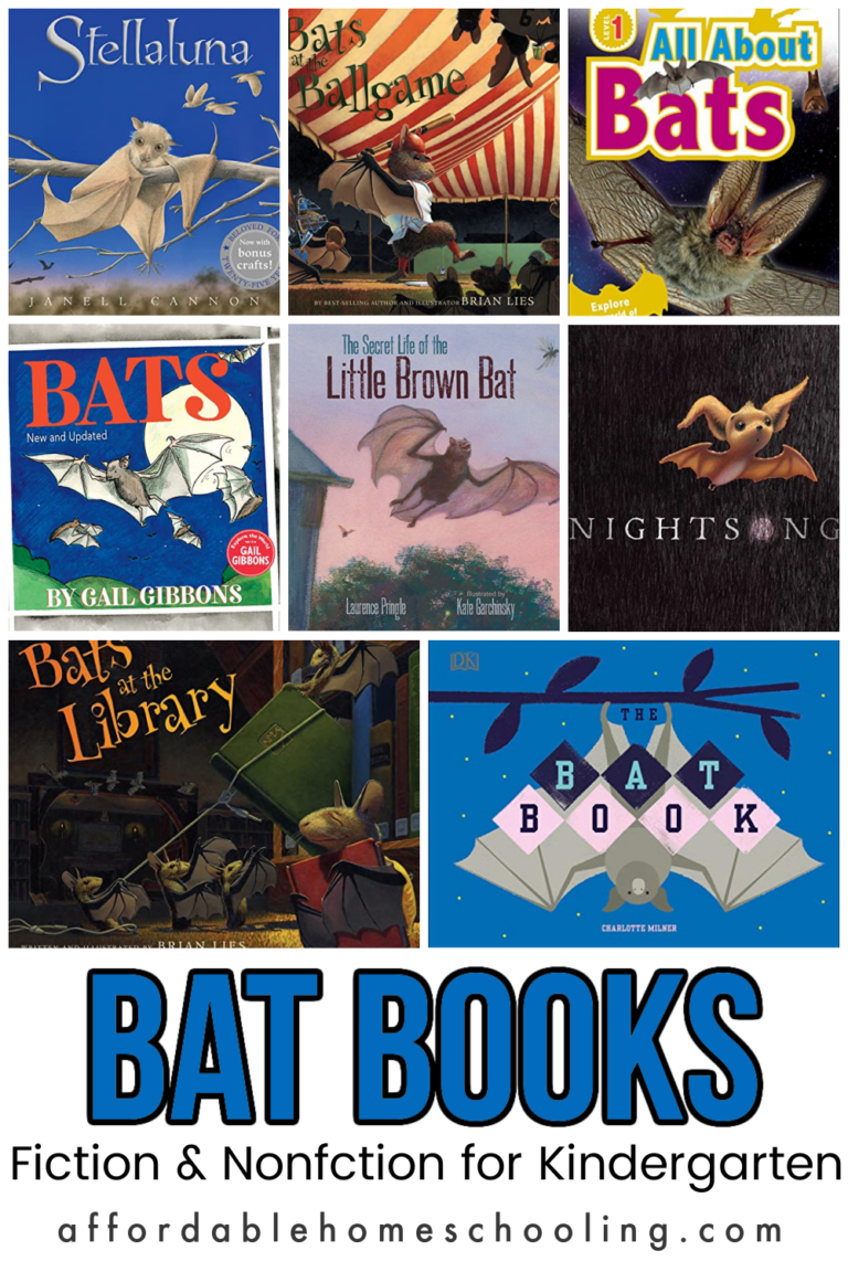 Books About Bats for Kindergarten