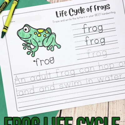 Life Cycle of Frogs