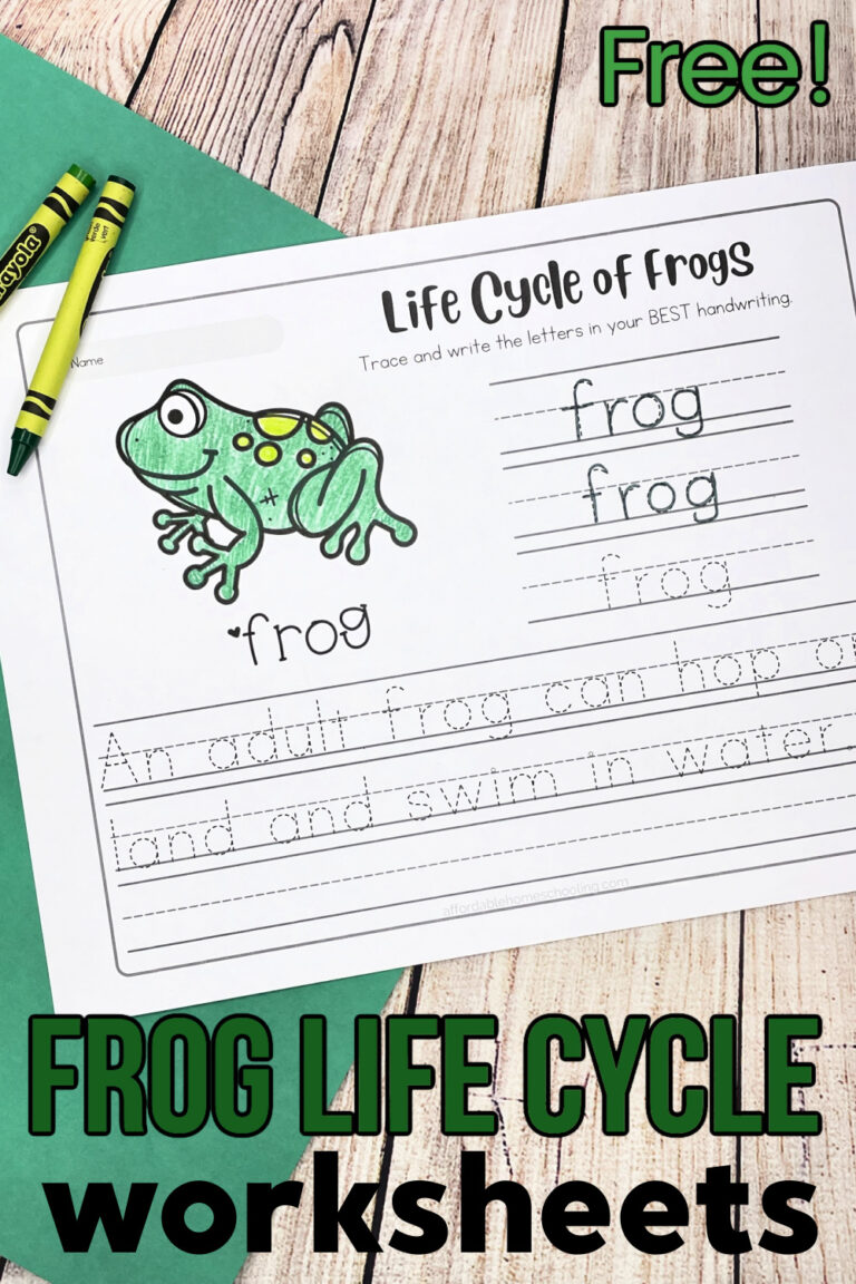 Life Cycle of Frogs