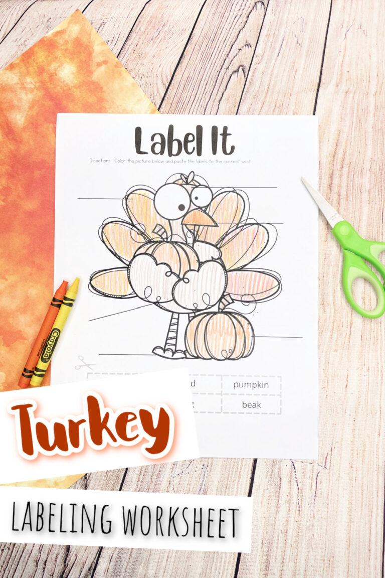 Parts of a Turkey Worksheet