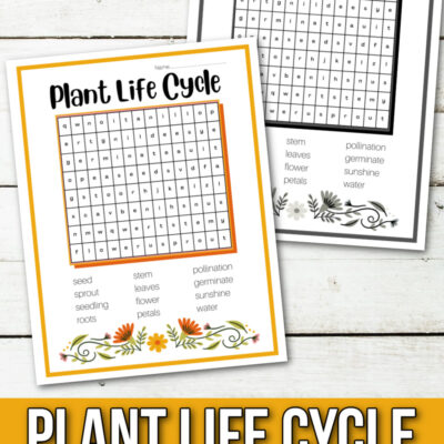 Plant Life Cycle Word Search