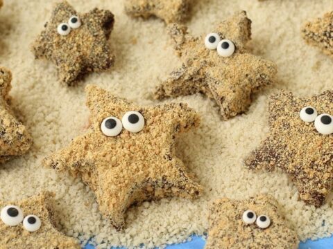 Image for S'mores Starfish - Hungry Happenings