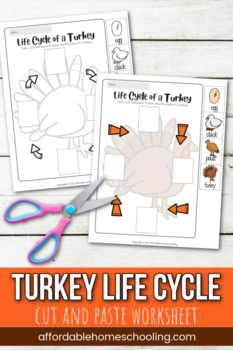 Life Cycle of a Turkey Worksheet