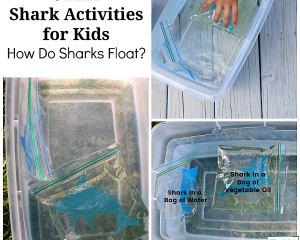 Image for STEM Shark Activities for Kids – How Do Sharks Float?