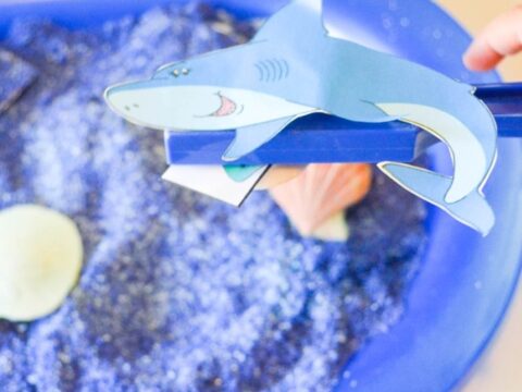 Image for Learning about Shark Senses Activity and Free Printable