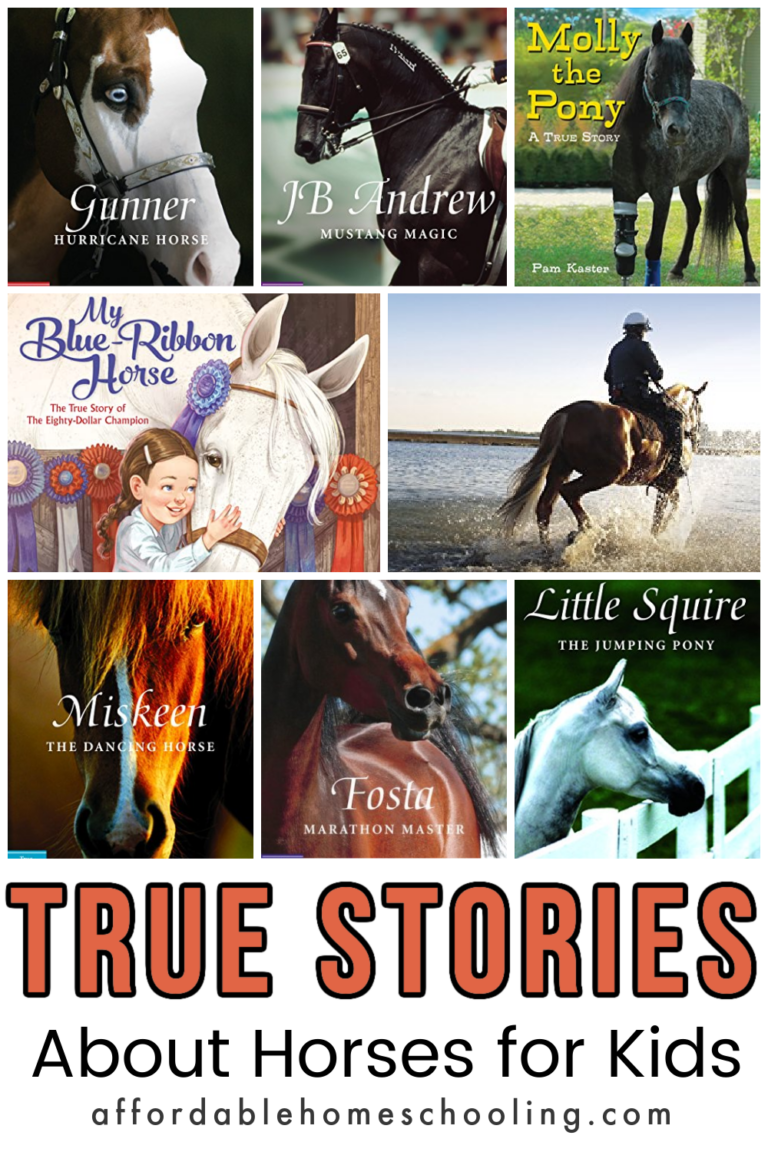 True Stories About Horses