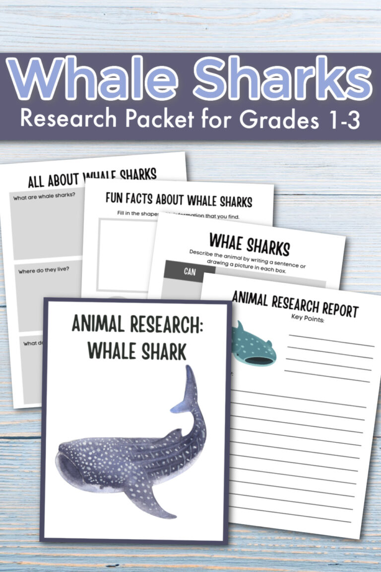 Researching Whale Sharks for Kids