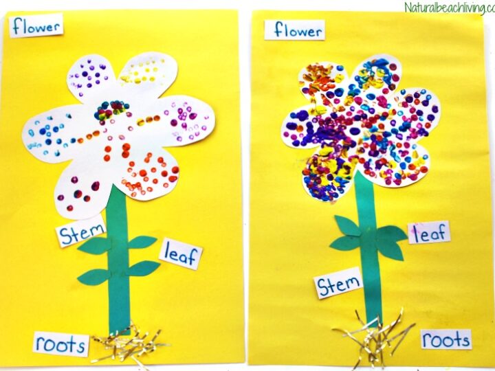 Image for The Best Parts of a Flower Craft for Kids