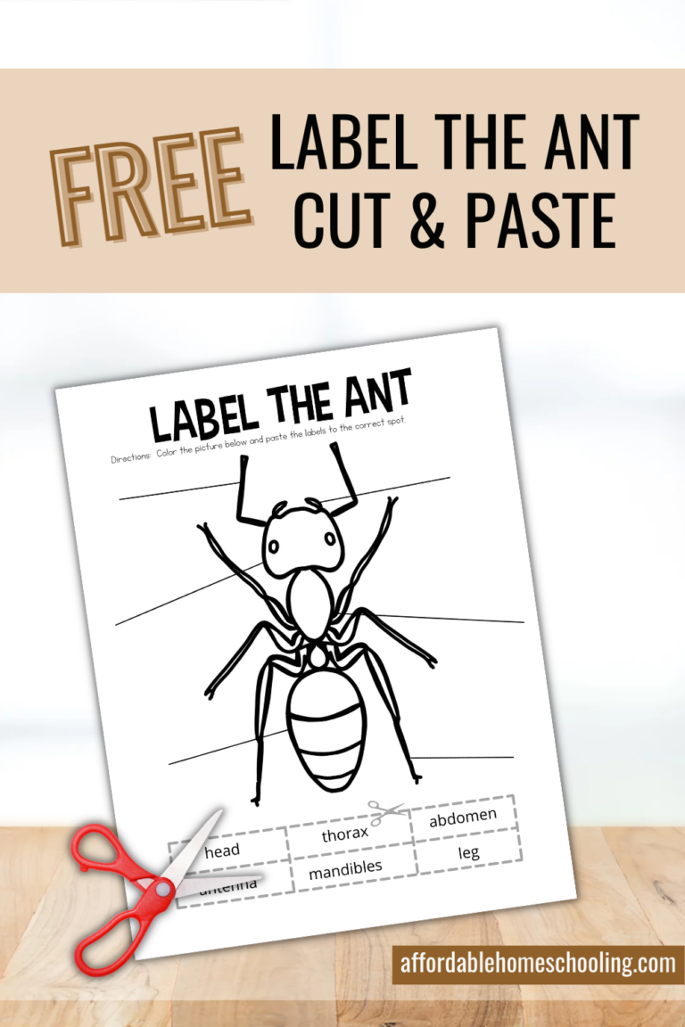 Ant Body Parts Worksheet