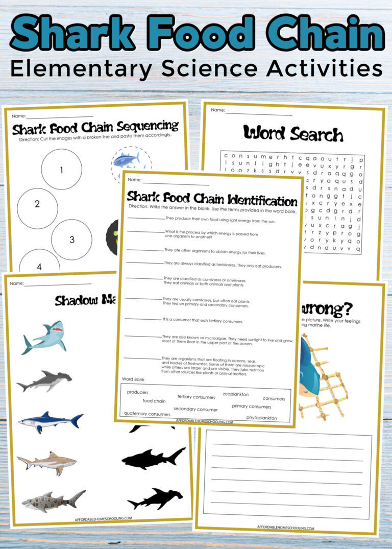 Shark Food Chain Printables