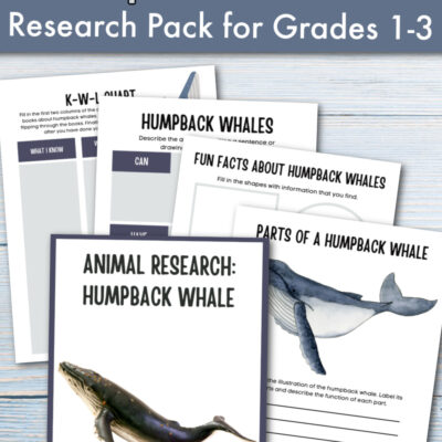 Humpback Whale Facts for Kids