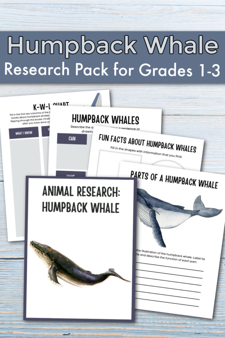 Humpback Whale Facts for Kids