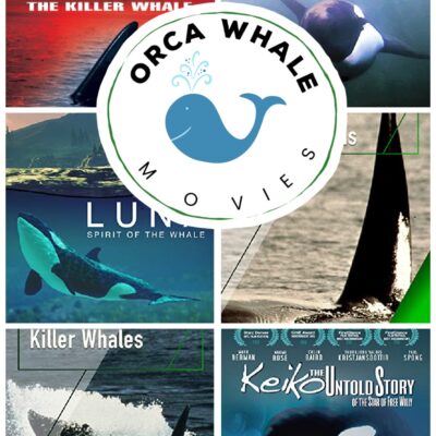 Orca Whale Movies