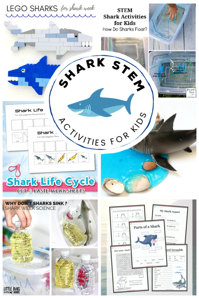 Shark STEM Activities