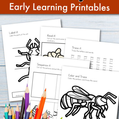 Ant Life Cycle Worksheets
