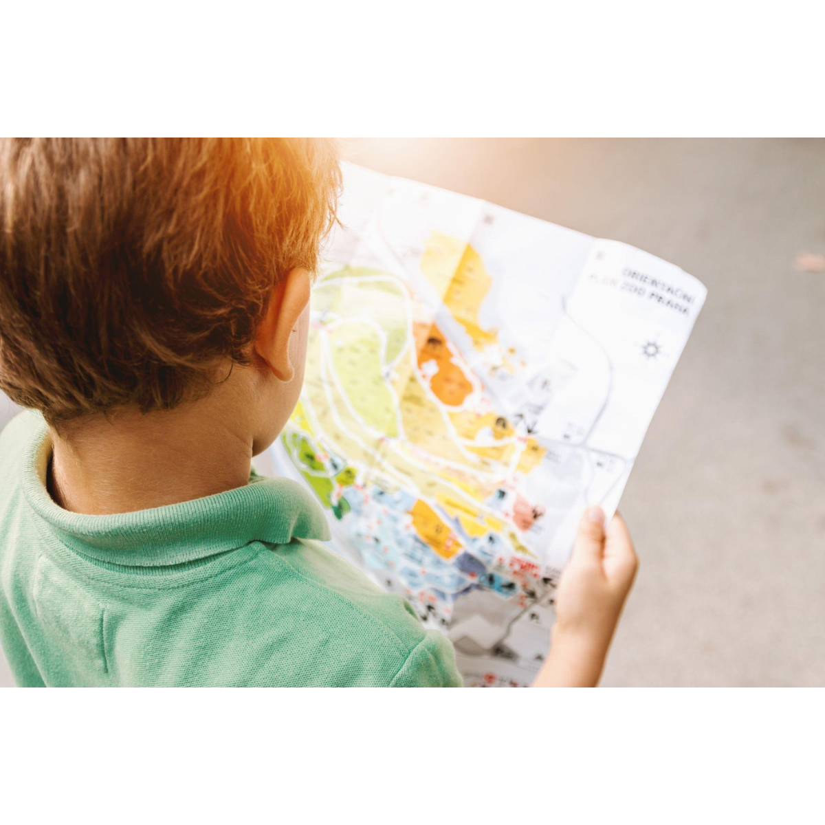 Child reading a map on vacation.