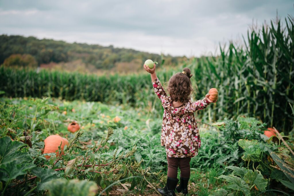 child pumpkin picking